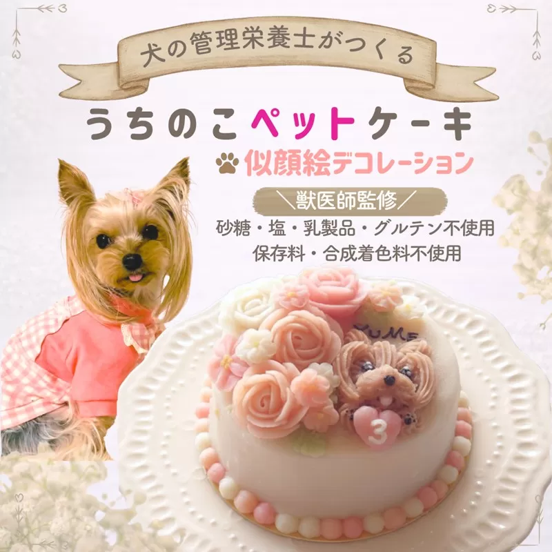 犬の栄養管理士がつくる うちの子ペットケーキ 3号 ( 似顔絵 デコレーション 犬用 ケーキ 犬用ケーキ 3号 犬 いぬ )【232-0001】