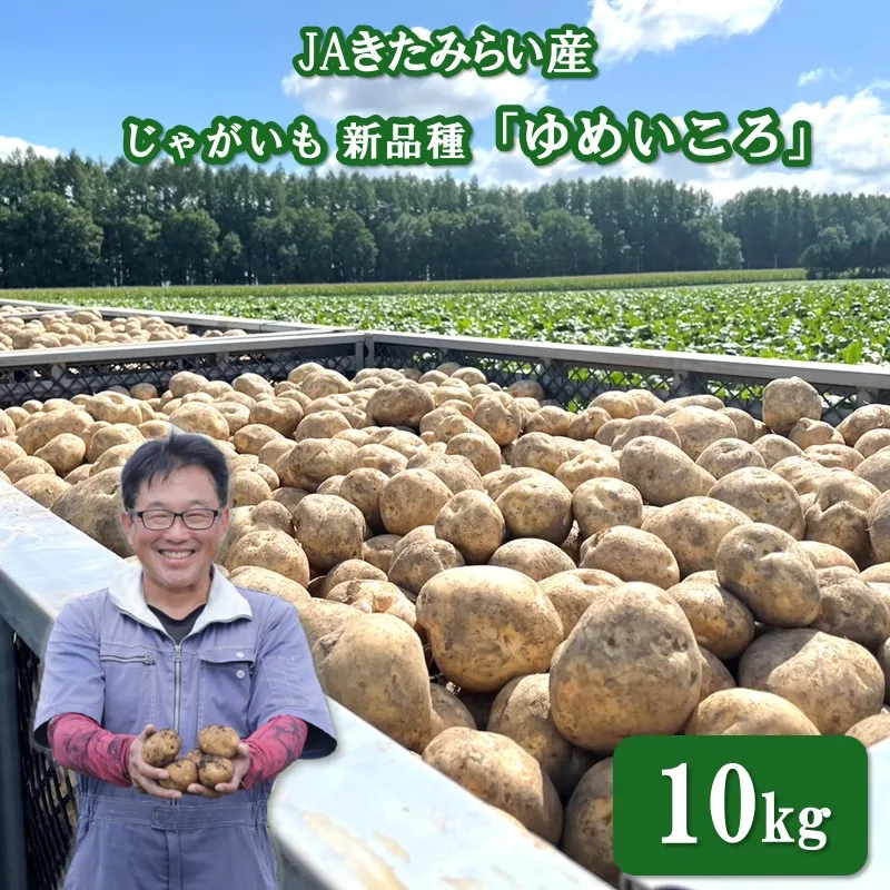【予約：2026年12月～2027年1月発送】JAきたみらい産 じゃがいも 新品種「ゆめいころ」 10kg 冷蔵 ( じゃがいも いも 芋 JA 北海道産 )【236-0002】