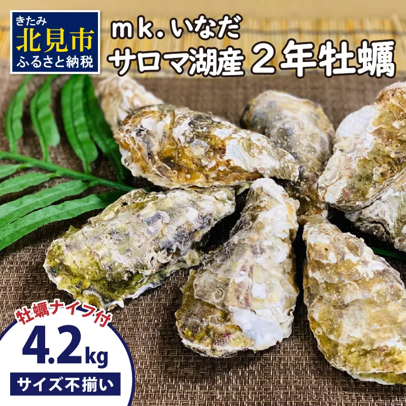 【予約：2026年10月下旬から順次発送】サロマ湖産 殻付き2年牡蠣 4.2kg サイズ不揃い ※牡蠣ナイフ付 ( カキ かき 4.2キロ 魚介 海鮮 貝 ふるさと納税 BBQ バーベキュー )【113-0014-2026】
