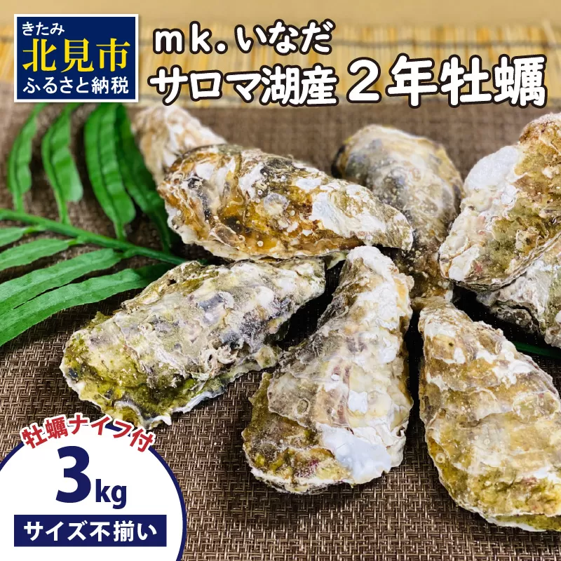 【予約：2026年10月下旬から順次発送】サロマ湖産 殻付き2年牡蠣 3kg サイズ不揃い ※牡蠣ナイフ付 ( カキ かき 3キロ 魚介 海鮮 貝 ふるさと納税 BBQ バーベキュー )【113-0015-2026】