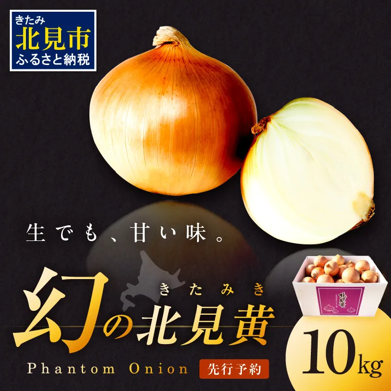 【予約：2026年9月下旬から順次発送】幻の北見黄 北海道北見産 10kg ( 野菜 たまねぎ 玉ねぎ タマネギ Lサイズ 10キロ 詰合せ )【002-0004-2026】