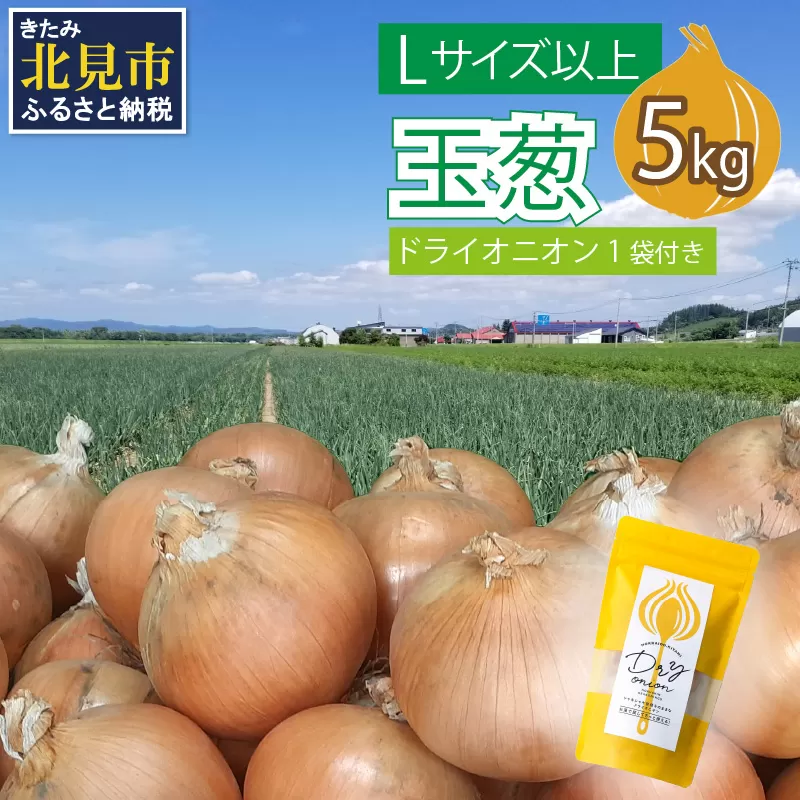 【予約：2025年11月から順次発送】玉葱 5kg Lサイズ以上 北見ドライオニオン1袋付き ( 玉ねぎ たまねぎ ドライオニオン セット ふるさと納税 北見市 )【148-0015-2025】