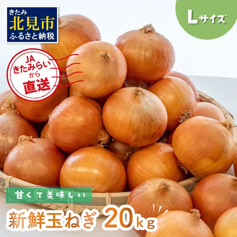 JAきたみらいから直送する甘くて美味しい新鮮玉ねぎ 20kg Lサイズ【104-0008-2025】