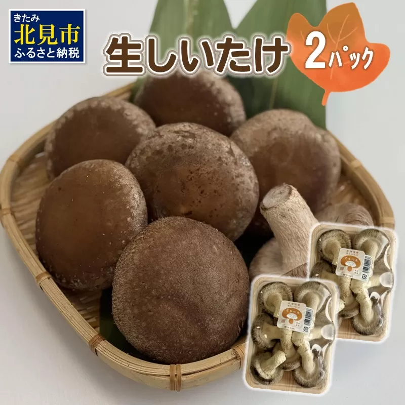 北海道産 生しいたけ(菌床) 2パック ( きのこ キノコ 椎茸 シイタケ )【038-0006】