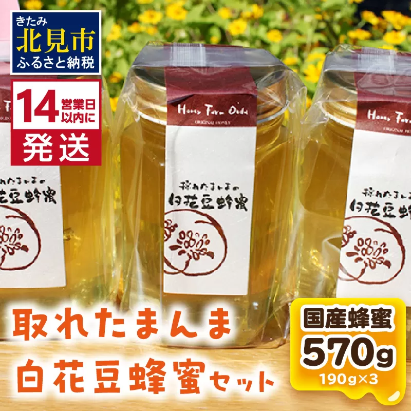 《14営業日以内に発送》採れたまんまの白花豆蜂蜜 190g×3本セット ( 蜂蜜 はちみつ ハチミツ 蜜 甘い 白花豆 蜂 純粋蜂蜜 贅沢 国産 酸味 おいしい おやつ 天然 自然 )【022-0011】