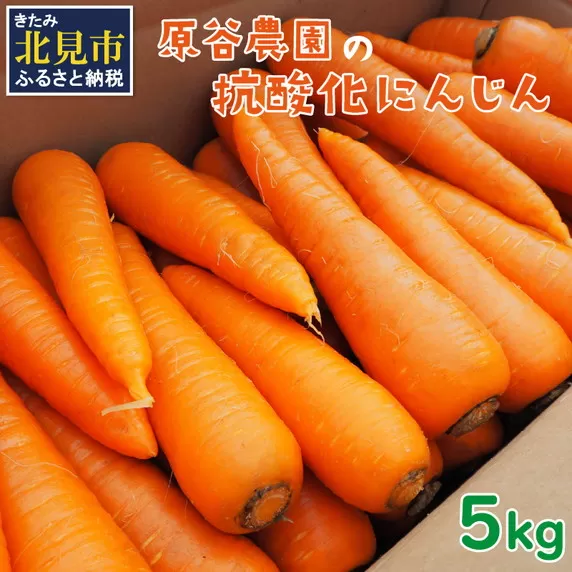 【予約：2025年8月下旬から順次発送】原谷農園の抗酸化にんじん 5kg ( 野菜 人参 農園 期間限定 ふるさと納税 )【058-0007-2025】