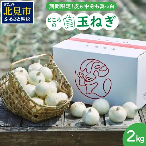 【予約:2026年7月中旬から順次発送】ところの白玉ねぎ 2kg ( 玉ねぎ タマネギ 玉葱 野菜 白玉ねぎ 2キロ 期間限定 辛みが少ない 生食 )【121-0013-2026】