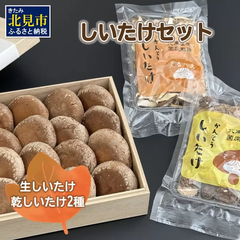 【木箱入】北海道産 生しいたけ(菌床) 乾しいたけ(ひと口・スライス)セット ( きのこ キノコ 椎茸 シイタケ )【038-0008】