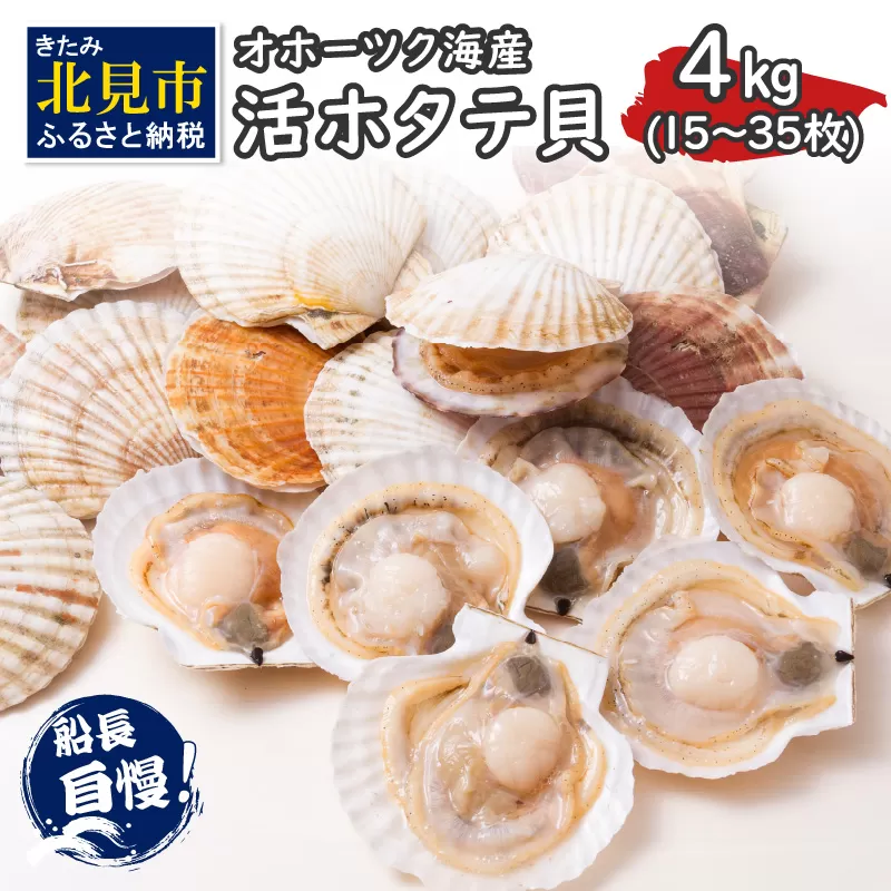 【予約：2026年4月から順次発送】とれたて新鮮！オホーツク海産 活ホタテ貝 4kg 15～35枚 ( 魚介 海鮮 貝 帆立 ほたて ホタテ 4キロ カレー シチュー 肉厚 )【114-0048-2026】