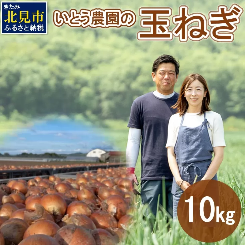 いとう農園の玉ねぎ 10kg ( 玉葱 タマネギ 野菜 期間限定 数量限定 10キロ )【181-0002-2025】