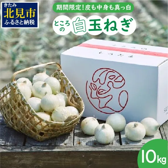 【予約：2026年7月中旬から順次発送】ところの白玉ねぎ 10kg ( 玉ねぎ タマネギ 玉葱 野菜 白玉ねぎ 10キロ 期間限定 辛みが少ない 生食 )【121-0008-2026】