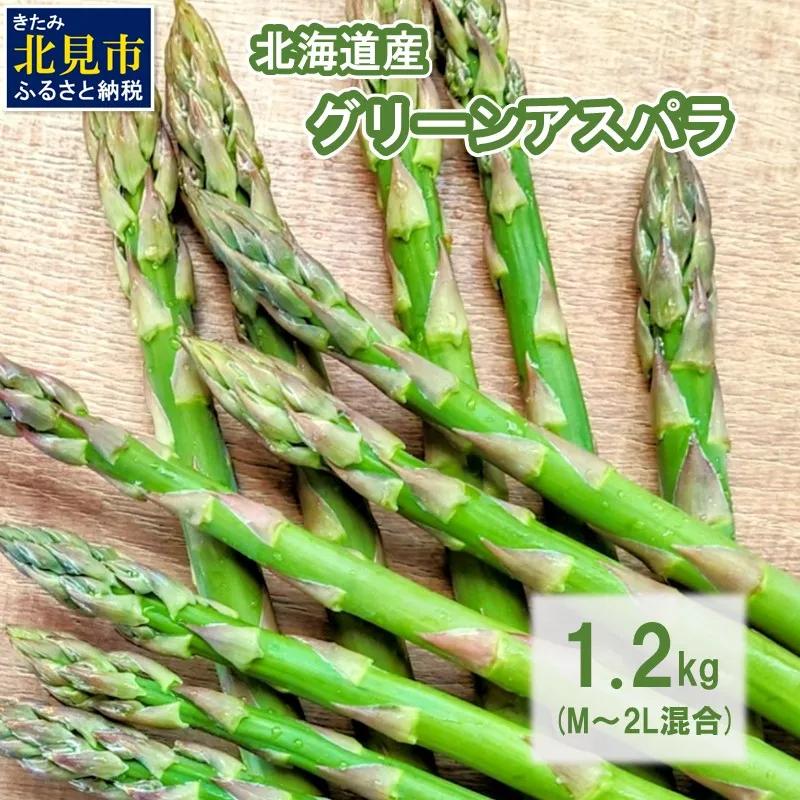 【予約：2027年5月中旬から順次発送】【朝採れ直送！】北海道の露地グリーンアスパラ 1.2kg M～2L混合サイズ ( アスパラガス グリーン 北海道 オホーツク 甘い 旬 サラダ 肉巻き) 【172-0002-2027】