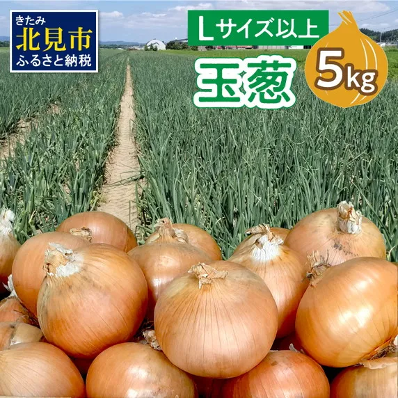 【予約：2026年11月から順次発送】玉葱 5kg Lサイズ以上 ( たまねぎ 玉ねぎ タマネギ 5キロ 野菜 北海道産 ふるさと納税 玉ねぎ生産量日本一 北見市 )【148-0002-2026】