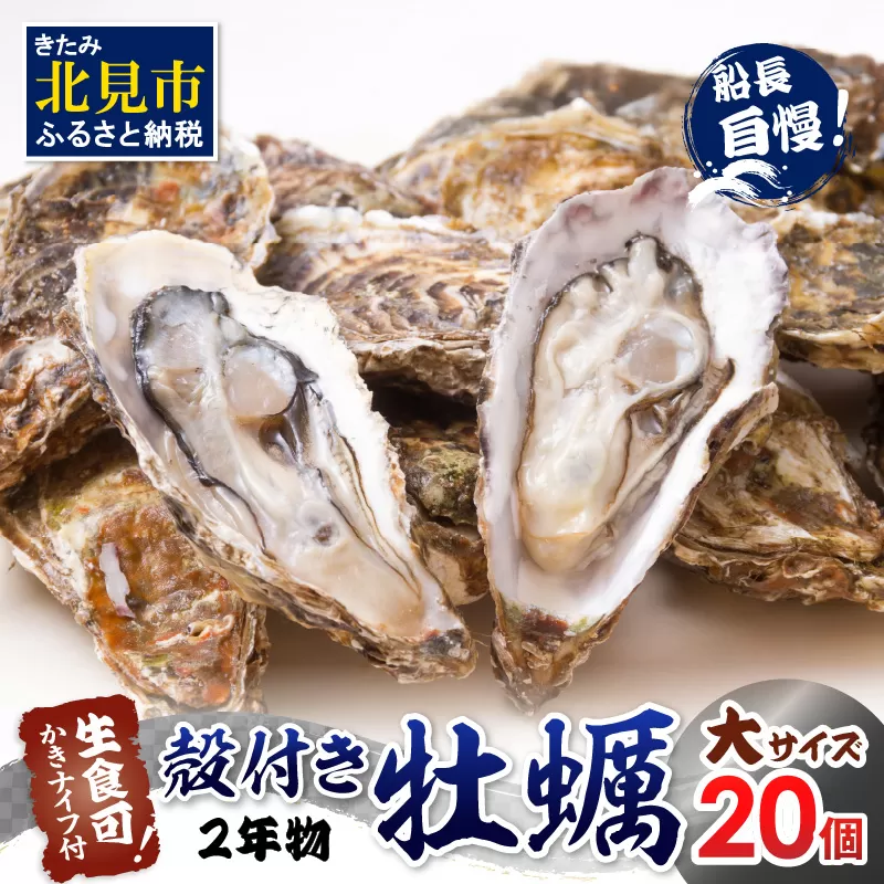 【予約：2026年11月中旬から順次発送】サロマ湖自慢の殻付きカキ貝 2年物 大 20個 ( 牡蠣 かき 濃厚 大きい 魚介類 貝類 殻付 殻付き牡蠣 BBQ バーベキュー )【114-0045-2026】