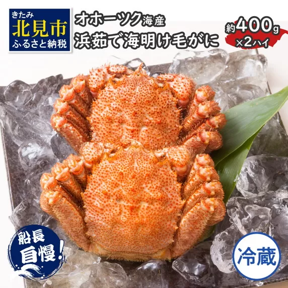 【予約：2026年3月下旬から順次発送】【旬の浜ゆで毛ガニを冷蔵便で】オホーツク海産 浜茹で海明け毛がに 約400g×2ハイ 冷蔵 ( かに 蟹 魚介類 海鮮 )【114-0029-2026】