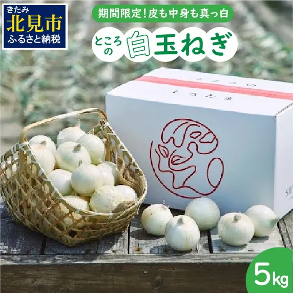 【予約：2026年7月中旬から順次発送】ところの白玉ねぎ 5kg ( 玉ねぎ タマネギ 玉葱 野菜 白玉ねぎ 5キロ 期間限定 辛みが少ない 生食 )【121-0005-2026】