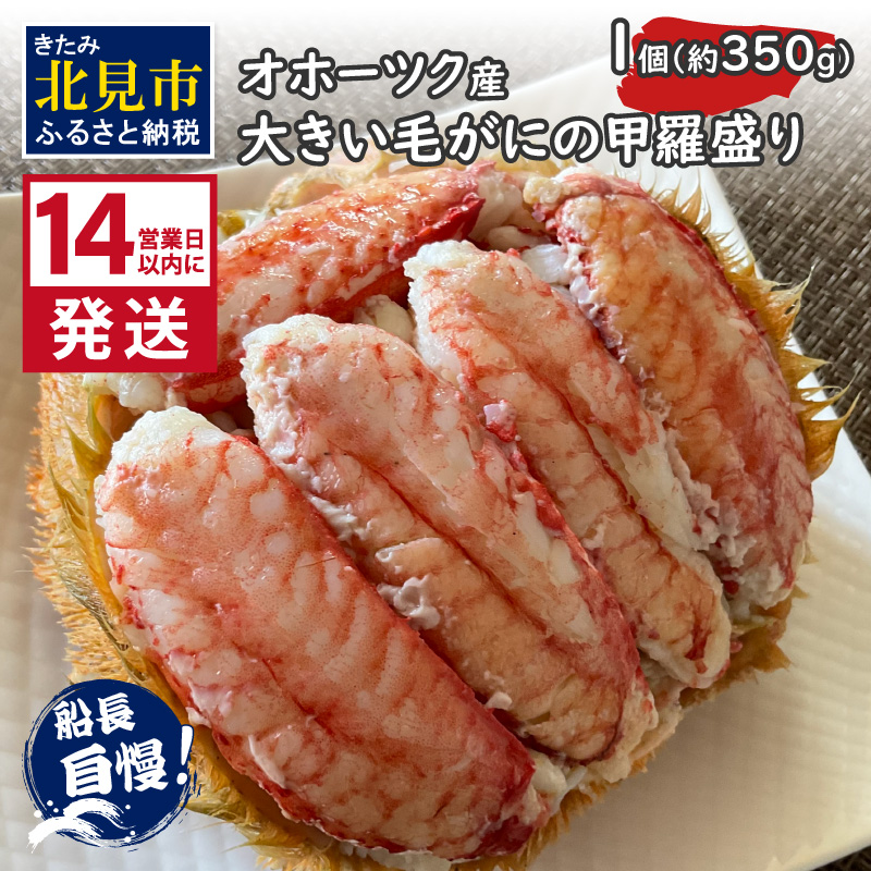 14営業日以内に発送》オホーツク産 大きい毛がにの甲羅盛り 1個入り