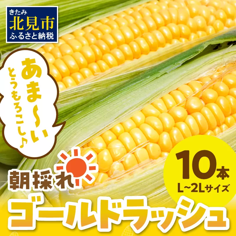 【予約：2024年9月上旬から順次発送】北海道北見市産 朝採れ ゴールドラッシュ 10本 ( 野菜 トウモロコシ とうもろこし コーン ゴールドラッシュ 採れたて 新鮮 )【164-0005】
