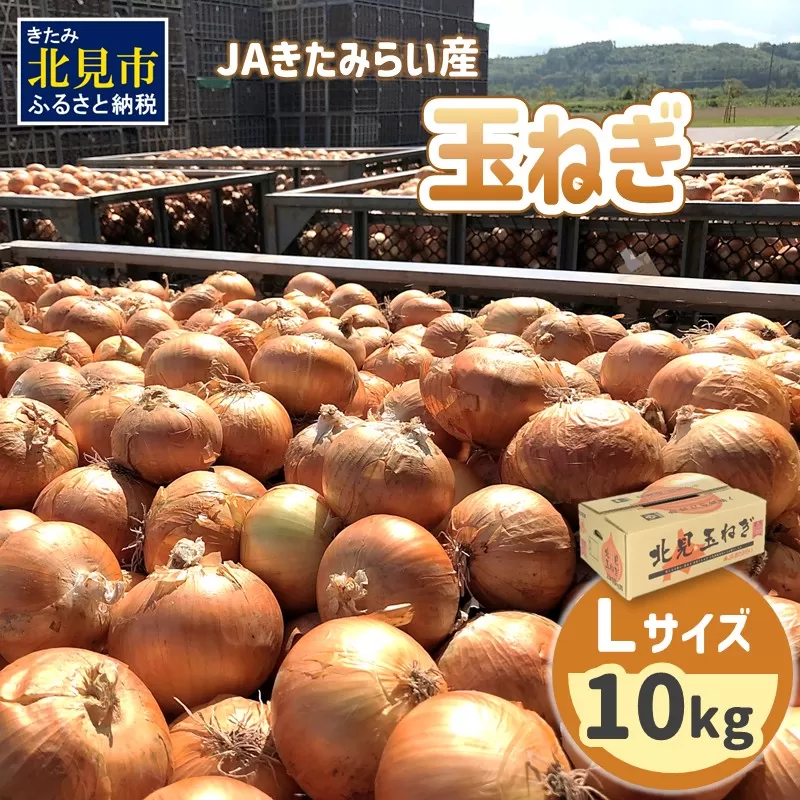 【予約：2025年9月上旬から順次発送】JAきたみらい産 玉ねぎ Lサイズ 10kg ( タマネギ たまねぎ 野菜 )【210-0001】