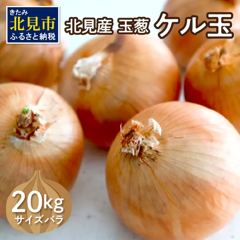【予約：2025年11月から順次発送】北見産玉ねぎ ケル玉 20kg ( 機能性玉葱 サイズバラ 玉ねぎ たまねぎ タマネギ 玉葱 オニオン ケル玉 野菜 北海道 長期貯蔵 )【133-0002-2025】