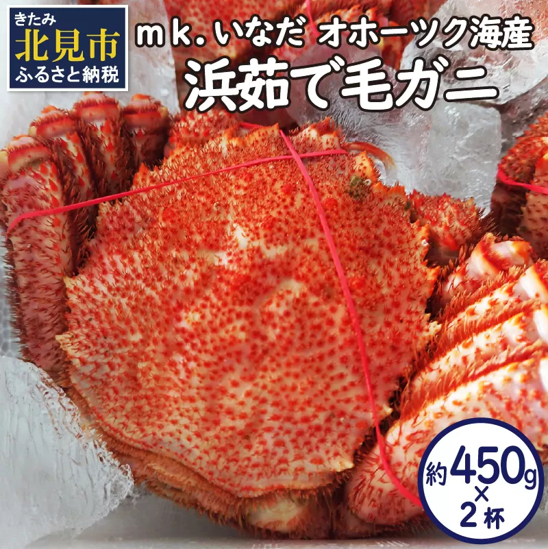 オホーツク海産 浜茹で毛ガニ 約450g×2杯 ( 海鮮 かに カニ 蟹 毛ガニ ボイル 贈答 ギフト )【113-0013】