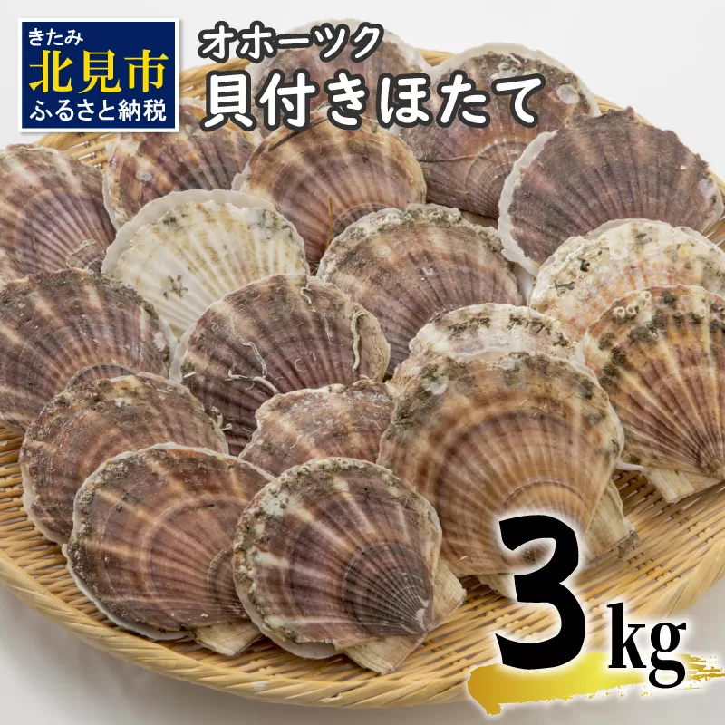 【予約：2025年3月下旬から順次発送】オホーツク貝付きほたて 3kg(15枚～25枚)( 海鮮 魚介 魚介類 貝 貝類 ホタテ ほたて 帆立 殻付き 貝柱 贈答 ギフト 贈り物 お中元 お祝い BBQ バーベキュー )【031-0003-2025】
