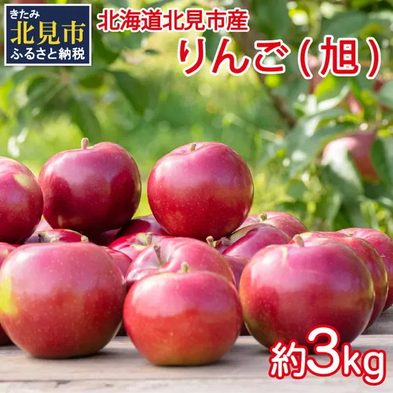【予約：2025年10月から順次発送】北海道北見市産 りんご 旭 約3kg ( りんご リンゴ 林檎 果物 フルーツ 期間限定 )【044-0003-2025】