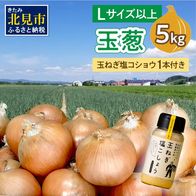 【予約：2025年11月から順次発送】玉葱 5kg Lサイズ以上 玉ねぎ塩こしょう 1本付き ( タマネギ 玉葱 野菜 調味料 塩コショウ )【148-0011-2025】