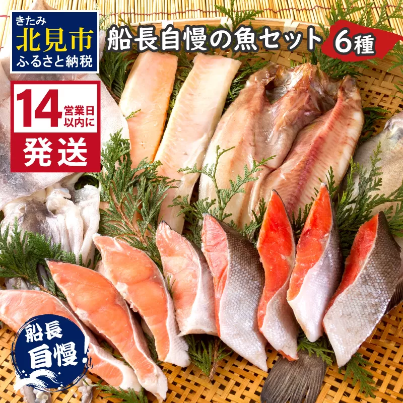 《14営業日以内に発送》船長自慢の海鮮セット ( 海鮮セット 海鮮 魚介類 ホッケ ナメタガレイ いか サーモン 鮭 時鮭 紅鮭 )【114-0025】