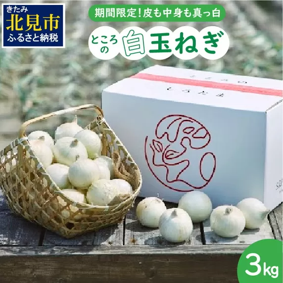 【予約：2025年7月中旬から順次発送】ところの白玉ねぎ 3kg ( 玉ねぎ タマネギ 玉葱 野菜 白玉ねぎ 3キロ 期間限定 辛みが少ない 生食 )【121-0003-2025】