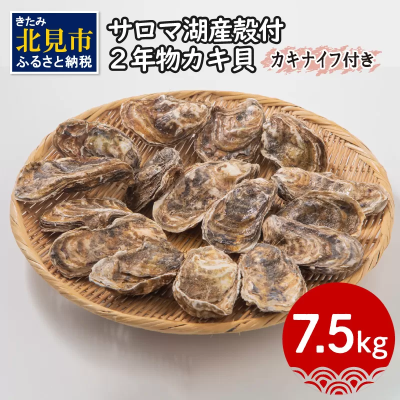 【予約：2025年10月より順次発送】【カキナイフ付】海のミルクサロマ湖産殻付2年物カキ貝 7.5kg 60～75個入 ( 魚介類 海鮮 魚介 牡蠣 かき カキ )【031-0010-2025】