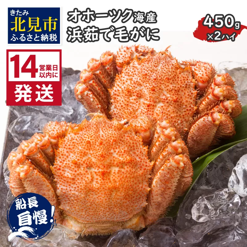 《14営業日以内に発送》オホーツク海産 浜茹で毛がに 450g×2ハイ 冷凍 ( かに カニ 毛ガニ 魚介類 蟹 )【114-0031-2024】