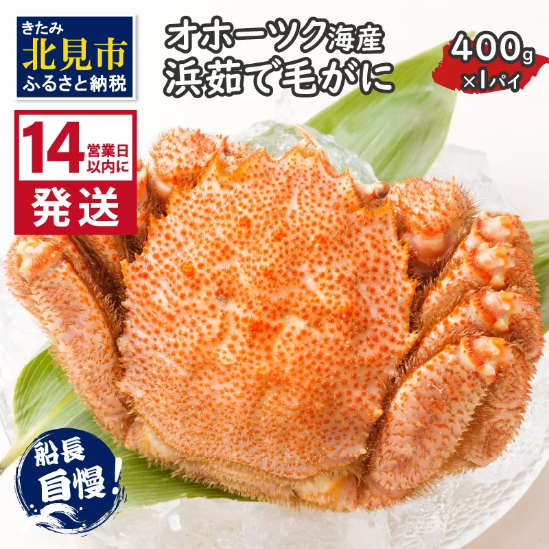 《14営業日以内に発送》オホーツク海産 浜茹で毛がに 400g×1パイ 冷凍 ( かに カニ 毛ガニ 魚介類 蟹 )【114-0012-2024】
