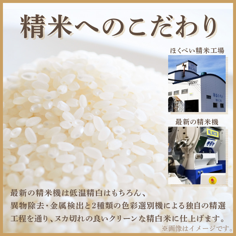 定番 15kg 7営業日以内に発送》【訳あり】精白米 業務用 北海道産米 ( その他