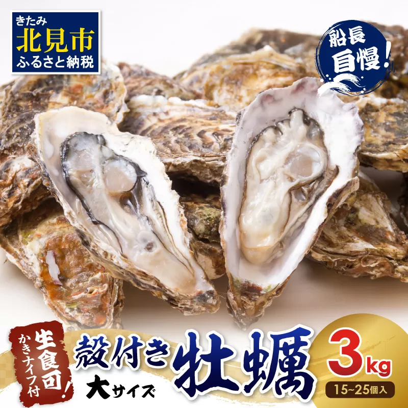 【予約：2025年10月下旬から順次発送】サロマ湖自慢の殻付きカキ貝 大 3kg詰め ( 牡蠣 かき 濃厚 大きい 魚介類 貝類 殻付 殻付き牡蠣 BBQ バーベキュー )【114-0010-2025】