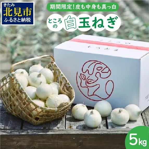 【予約：2025年7月中旬から順次発送】ところの白玉ねぎ 5kg ( 玉ねぎ タマネギ 玉葱 野菜 白玉ねぎ 5キロ 期間限定 辛みが少ない 生食 )【121-0005-2025】