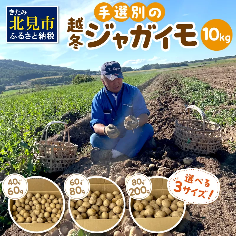 【予約:2026年2月上旬から順次発送】【選べる3サイズ】宇野さんの手拾い、手選別の越冬ジャガイモ 10kg ( 芋 野菜 選べる )【167-0004-2026】