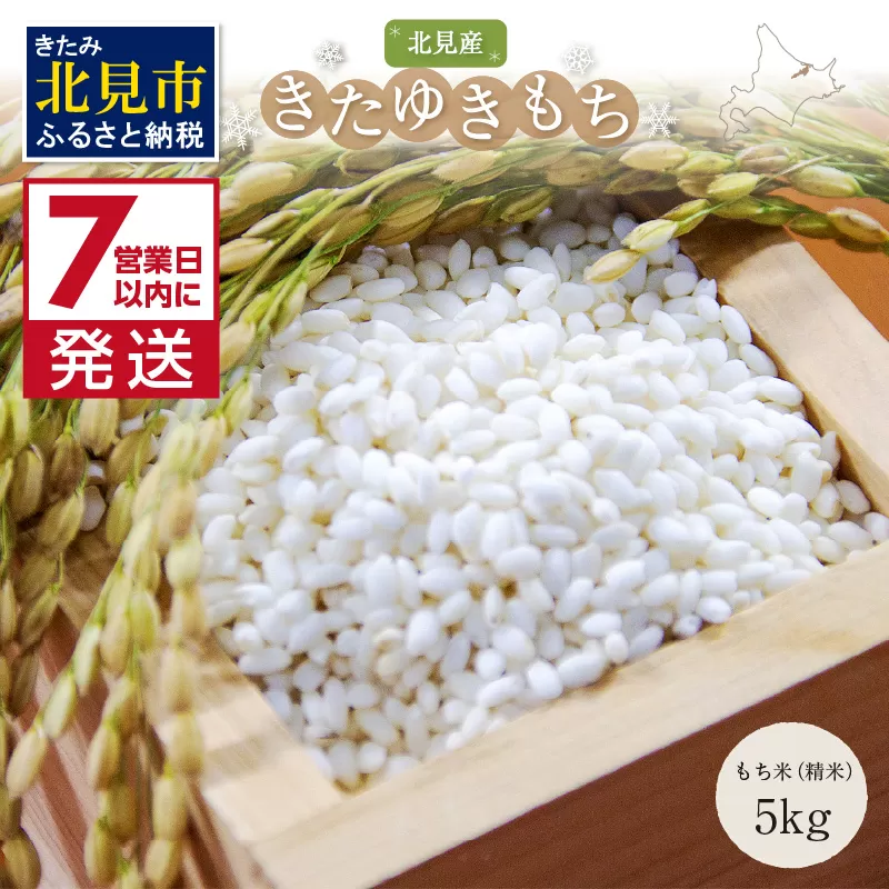 《7営業日以内に発送》令和7年産 北海道産きたゆきもち 精白米 5kg ( 米 お米 モチ米 もち米 赤飯 ぼたもち おはぎ おこわ 美味しい 北海道 )【080-0095】
