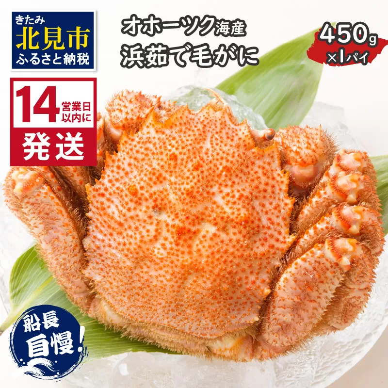 《14営業日以内に発送》オホーツク海産 浜茹で毛がに 450g×1パイ 冷凍 ( かに カニ 毛ガニ 魚介類 蟹 )【114-0019-2025】