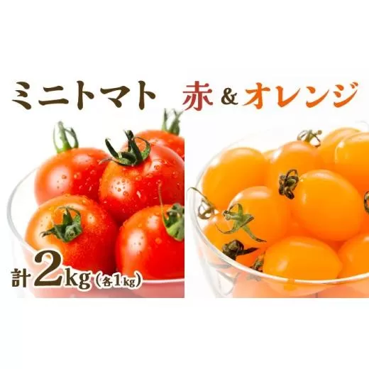 【先行販売】【ファーム雫】食べ比べセット　ミニトマト赤＆オレンジ計２kg【a127-005】