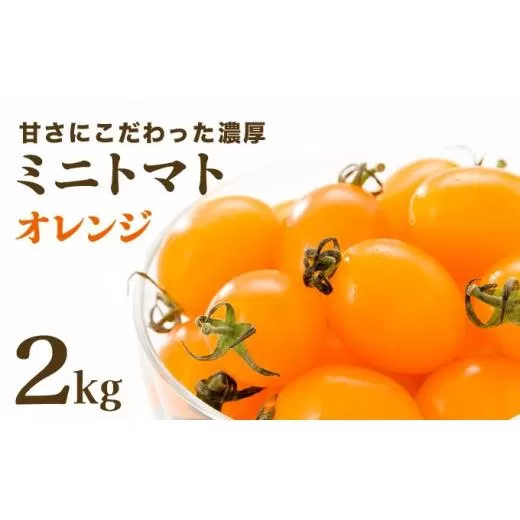 【先行販売】【ファーム雫】甘さにこだわった濃厚オレンジミニトマト ２kg【a127-004】