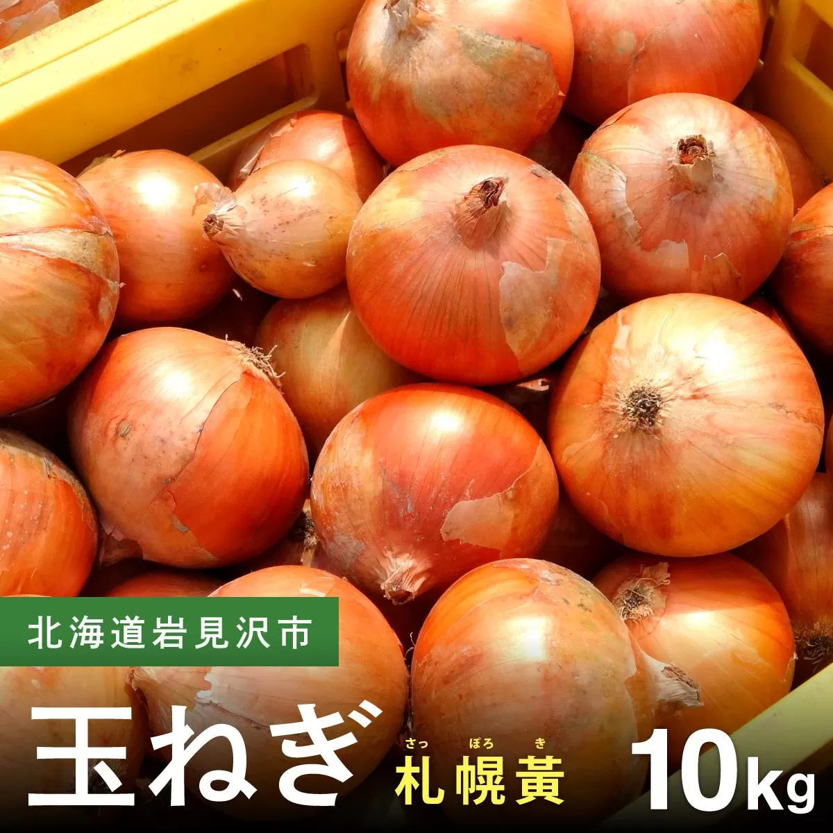 【先行予約】幻の玉ねぎ！札幌黄（さっぽろき）10kg [a168-011] たまねぎ 玉葱 タマネギ 国産 まとめ買い 業務用 贈り物 野菜 美味しい 送料無料 新鮮野菜 健康 和食 レストラン 国産野菜 採れたて 農家直送 産地直送 北海道 岩見沢市