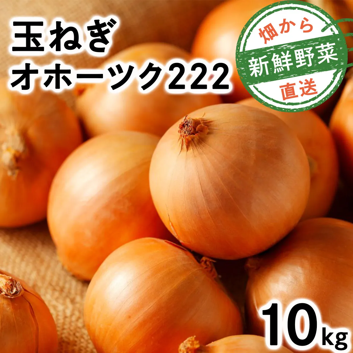 【順次配送】畑から直送の新鮮野菜！玉ねぎ（オホーツク222）10kg｜タマネギ たまねぎ 玉葱 北海道 岩見沢市【a168-005-0】