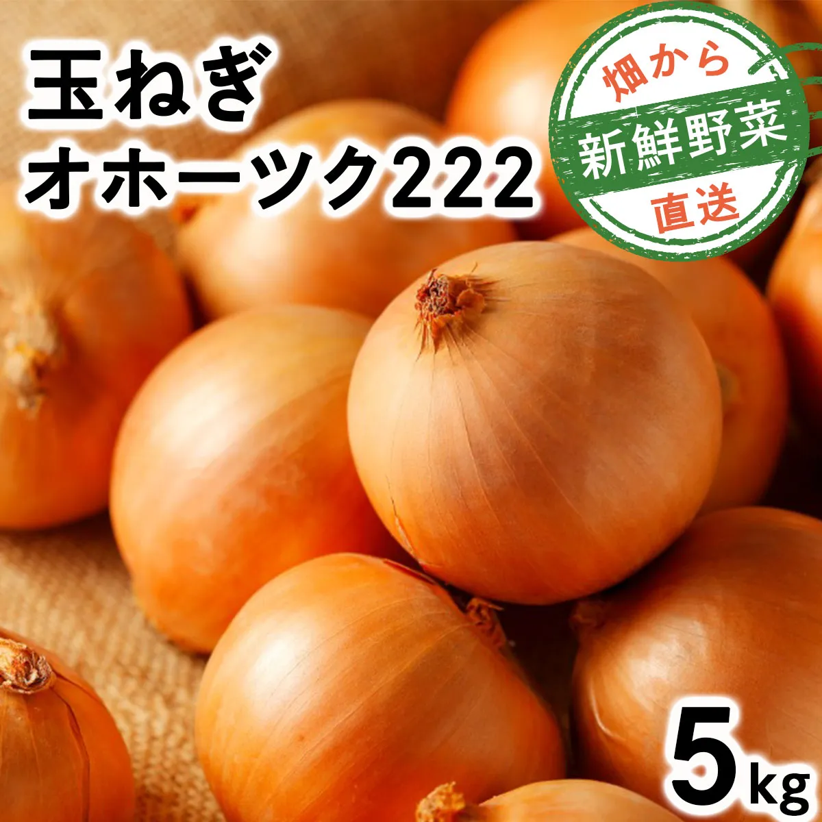 【順次配送】畑から直送の新鮮野菜！玉ねぎ（オホーツク222）5kg｜タマネギ たまねぎ 玉葱 北海道 岩見沢市【a168-004-0】
