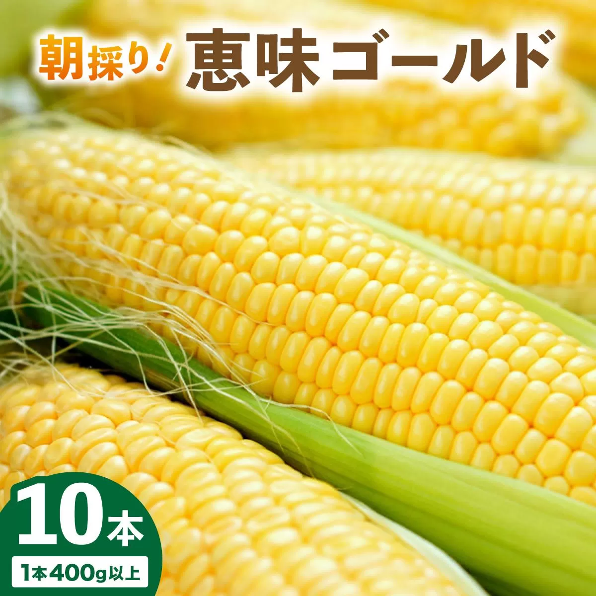 【先行予約】朝取りスイートコーン「恵味ゴールド」10本入り｜コーン とうもろこし 岩見沢市 野菜 北海道【a167-001】