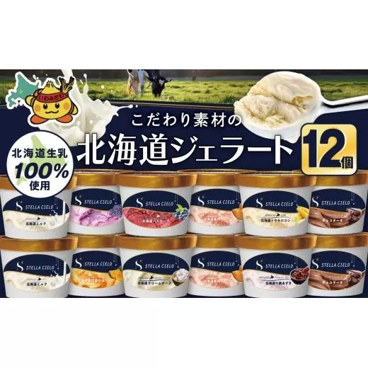 STELLA CIELO 北海道ジェラート12個 | 北海道ミルク チョコラータ 北海道クリームチーズ 北海道十勝あずき 北海道恵比寿かぼちゃ 北海道赤肉メロン 北海道ハスカップ ラベンダー 北海道トウモロコシ