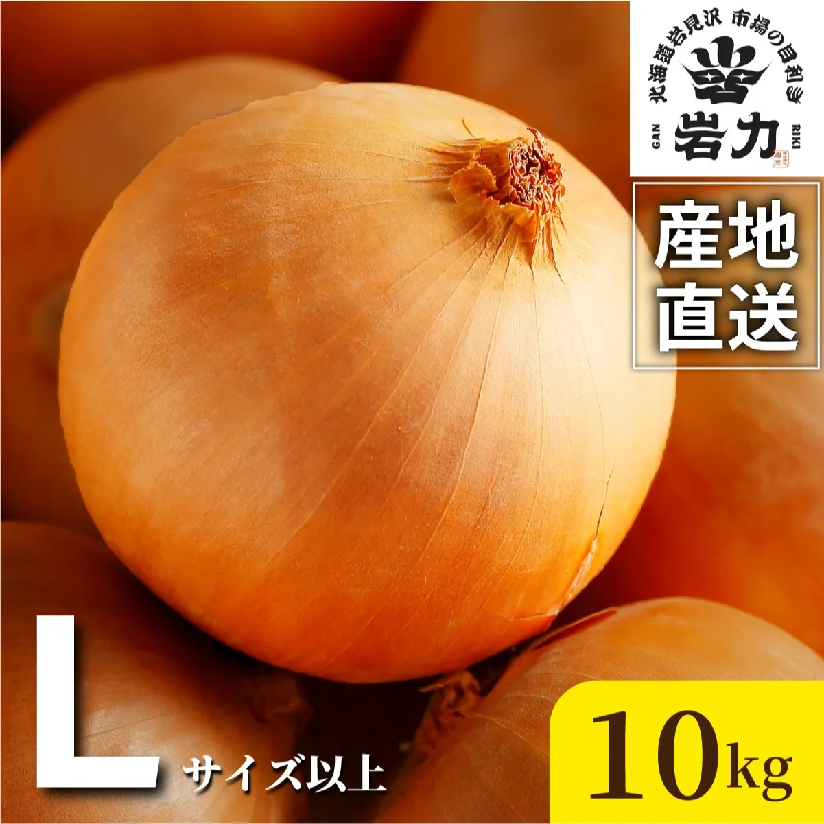 北海道岩見沢産たまねぎ 10kg (市場の目利き・岩力ブランド) | 玉ねぎ タマネギ 玉葱 オニオン 野菜【a142-006】