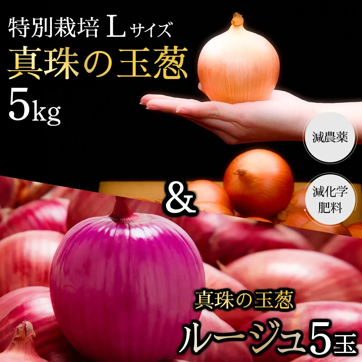 真珠の玉葱 特別栽培 L～L大サイズ 5kg (ルージュ5玉入り) ＜海のミネラルで育てた特別栽培玉葱＞｜玉ねぎ たまねぎ タマネギ 北海道産 岩見沢市【a134-008】【50108】
