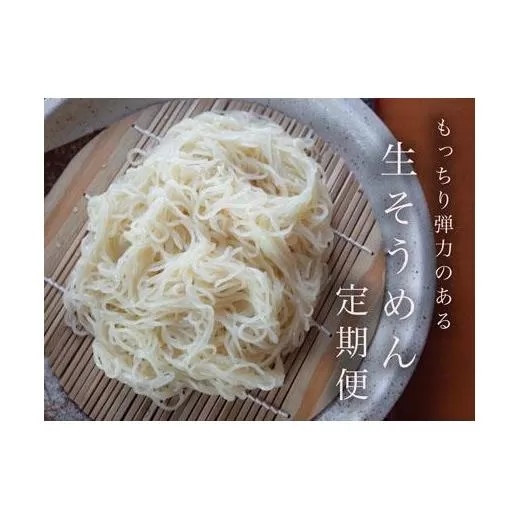 【定期便3ヶ月】もっちり食感が人気の生そうめん4食入り1箱（鮭節冷つゆ）【16115】