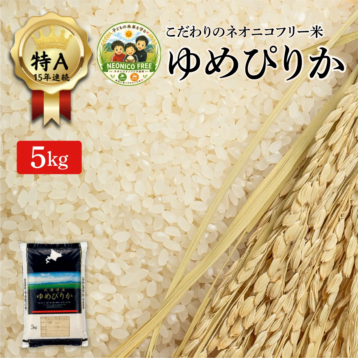 令和7年産 アグリプロ未来のゆめぴりか 5kg【a178-001】北海道 岩見沢市 北海道産 お米 米 精米 白米 ご飯 ごはん